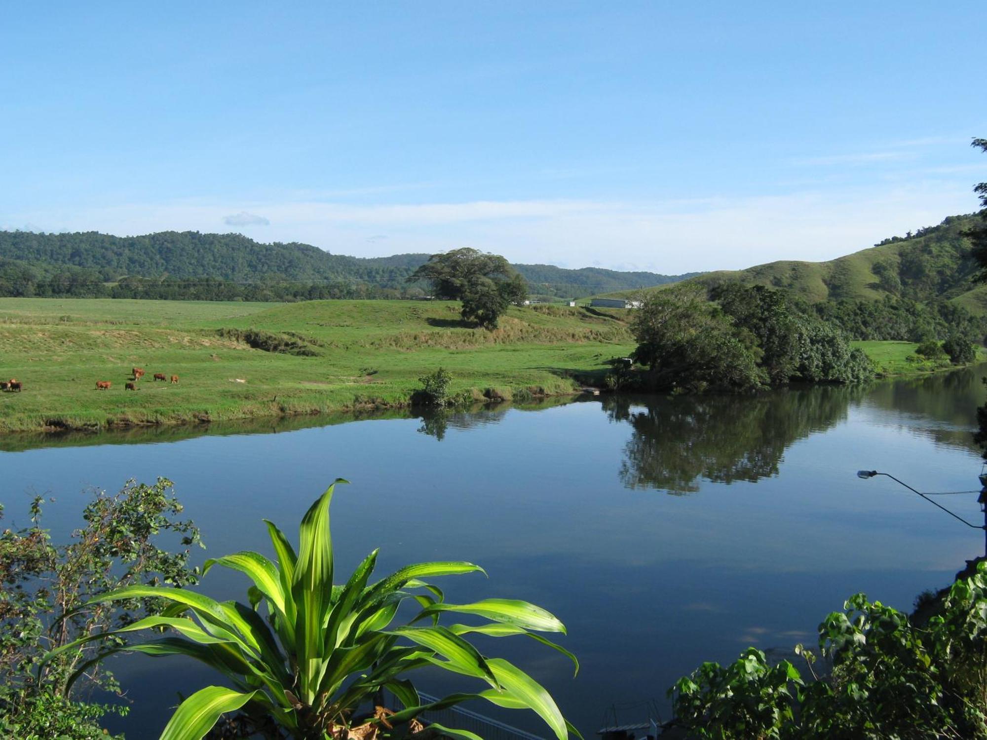 Daintree Riverview Lodges Eksteriør bilde