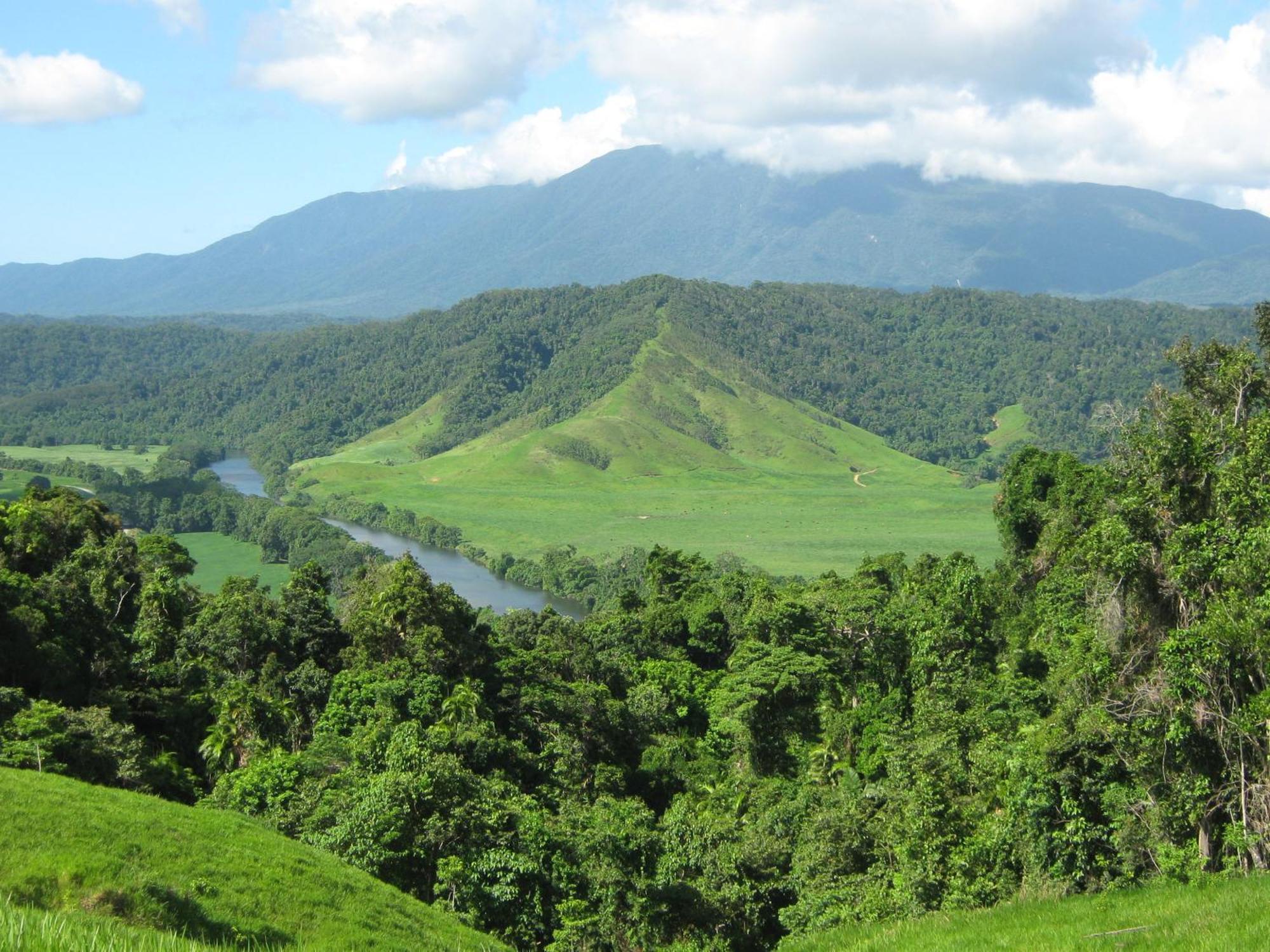 Daintree Riverview Lodges Eksteriør bilde